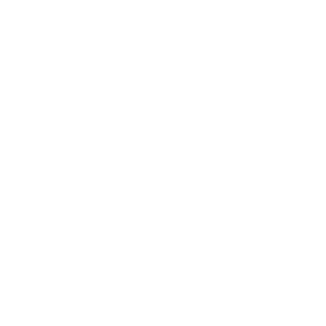 Two Bros BBQ Logo